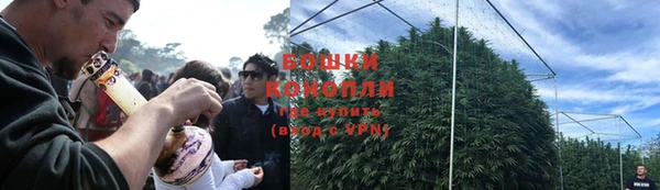 стафф Нефтекумск