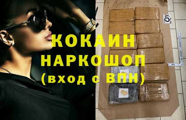 гидра Нея