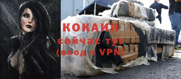 гидра Нея
