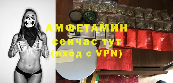 гидра Нея